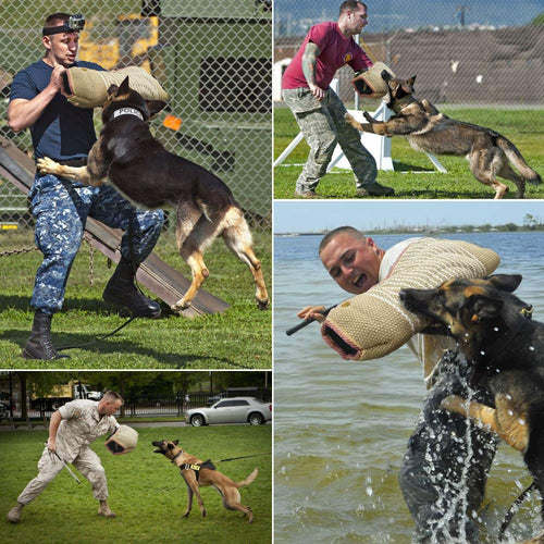 Dog Training Arm Sleeve Professional Dog Training Set